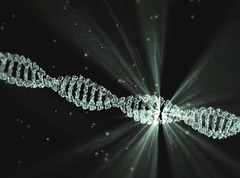 DNA Learning Session